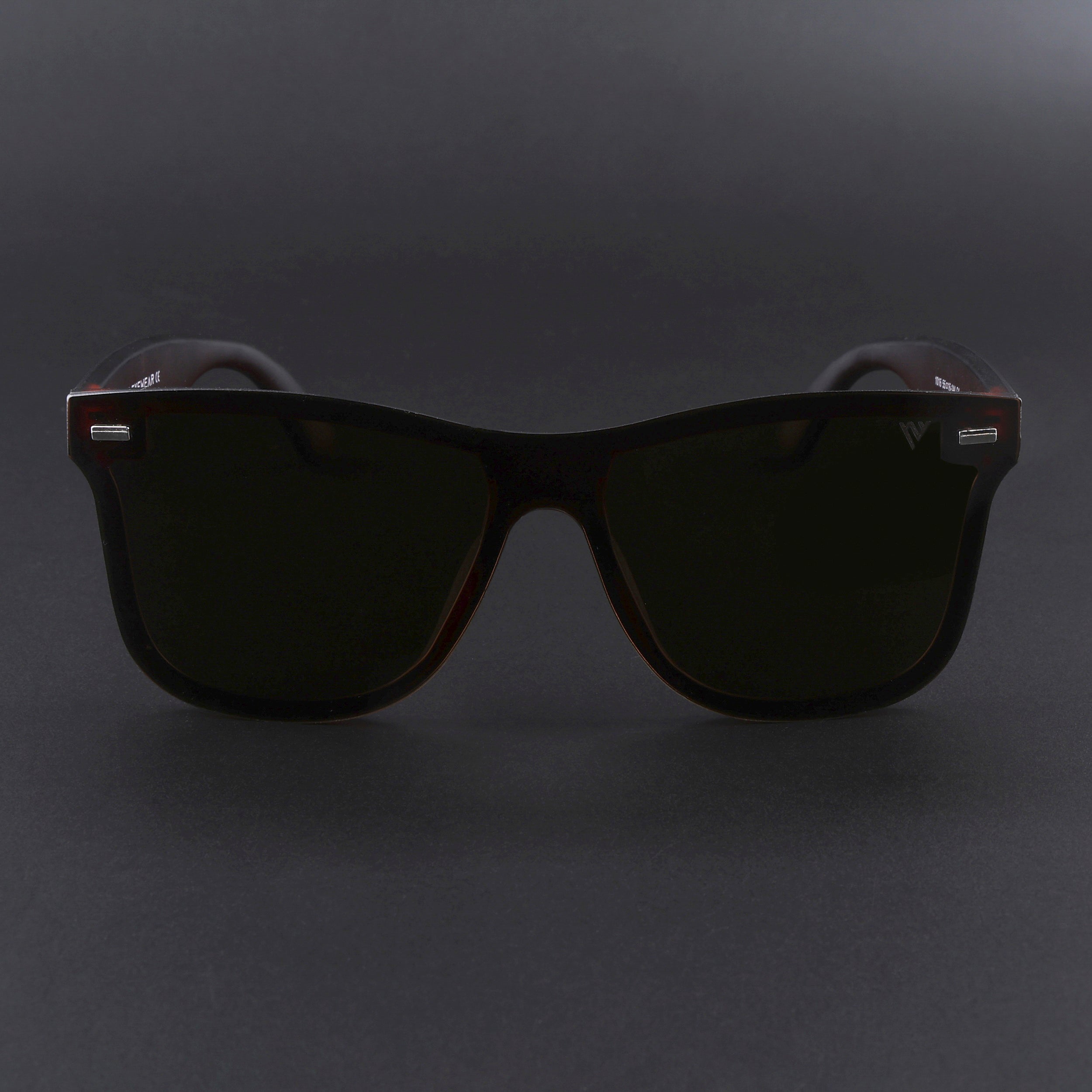 Mooze | Brown Polarized Wayfarer Sunglasses | PMG3978